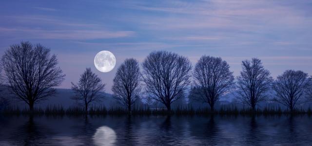 Misty winter evening